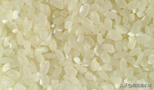 沥米饭是什么意思，印度的米为什么看起来是一粒一粒的