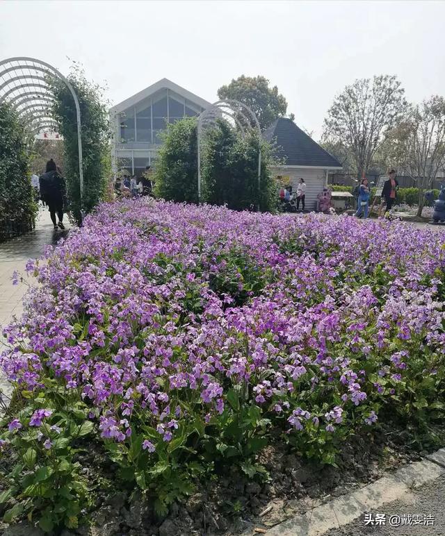 水滴筹这样的企业到底是“慈善”还是“商业”呢？