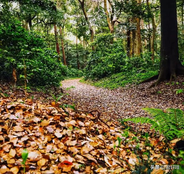 什么石头对身体有好处,石头镜到底有没有养眼功效？