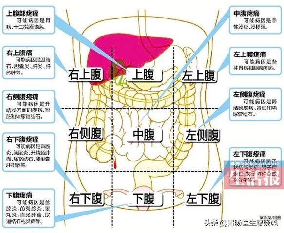 女人肚脐左下方疼图片图片