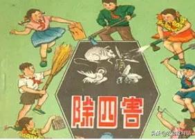 30年前农村的除四害蚊子苍蝇老鼠和蟑螂今天怎么没人宣传了？