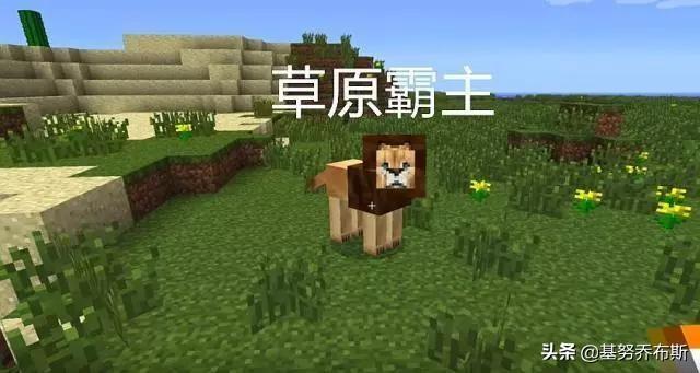 我的世界1.15会加入哪些生物？