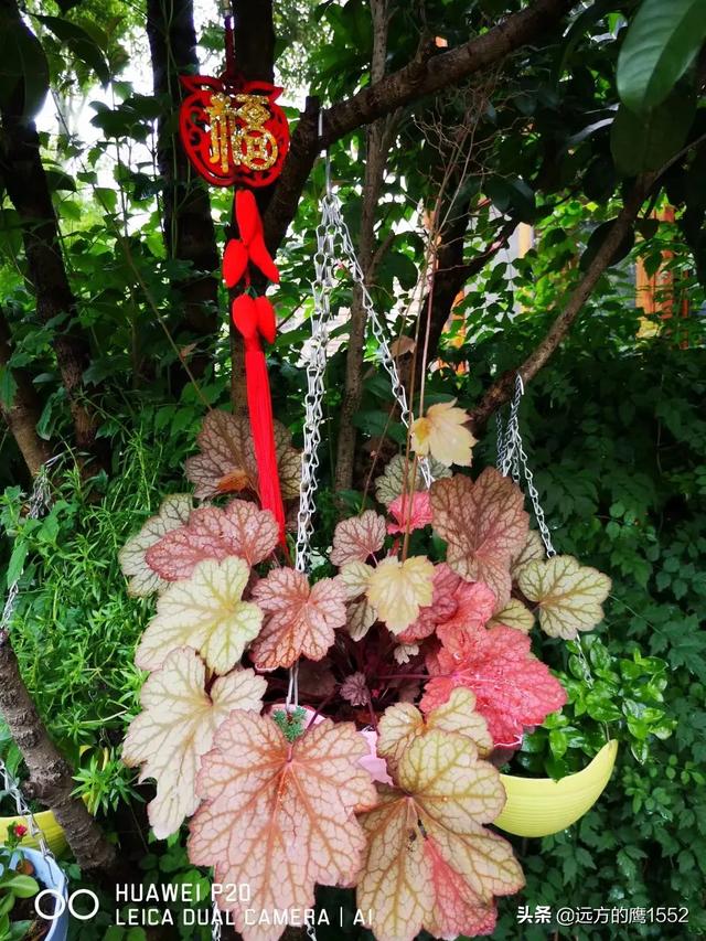 清新唯美的微信网名:有哪些淡雅清新的香水值得推荐