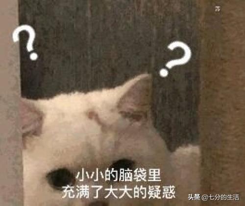 小猫一直打喷嚏其他都好:新买的猫砂，猫咪好像一直打喷嚏，求解？