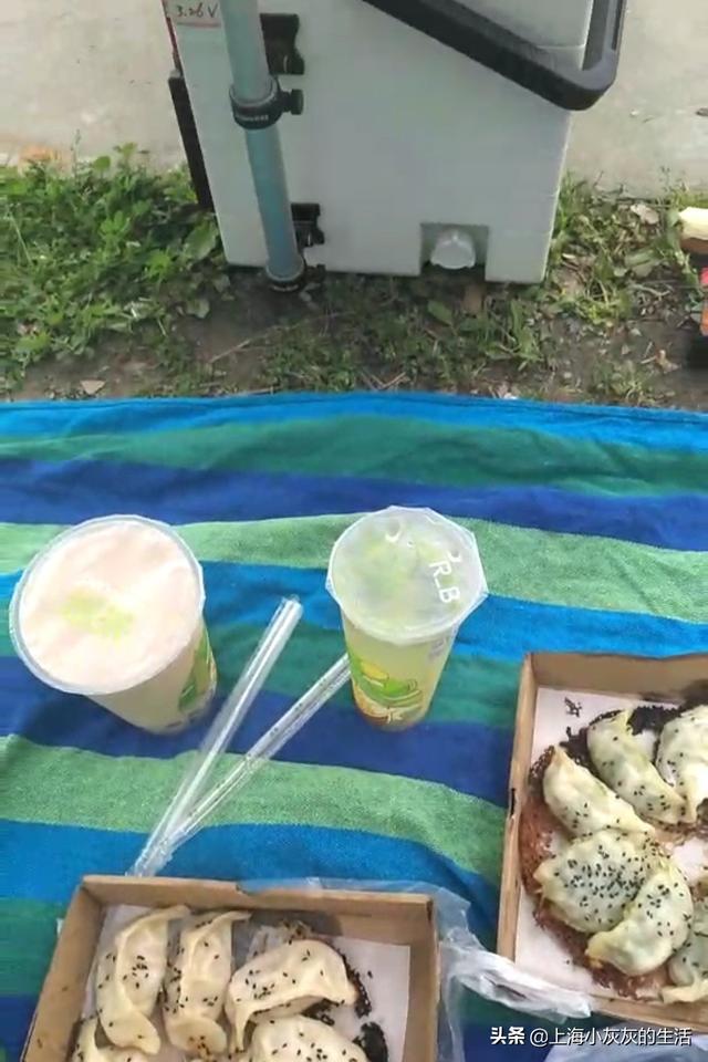 白冠噪鹛大叫视频:你会凌晨三点起床去钓鱼吗？ 白冠噪鹛大叫