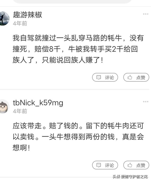 撞死了一只羊首映:电影《撞死了一只羊》，最终金巴有没有替那个乞丐去复仇呢？