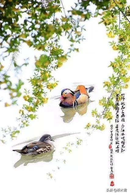 描写春天的景色的诗词很多,有哪首诗词能够描写春季郊原的景色？