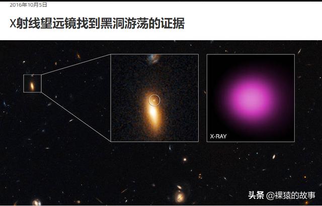 人类灭绝:如果人类灭绝了，还会从恐龙时期开始再回到人类时期吗