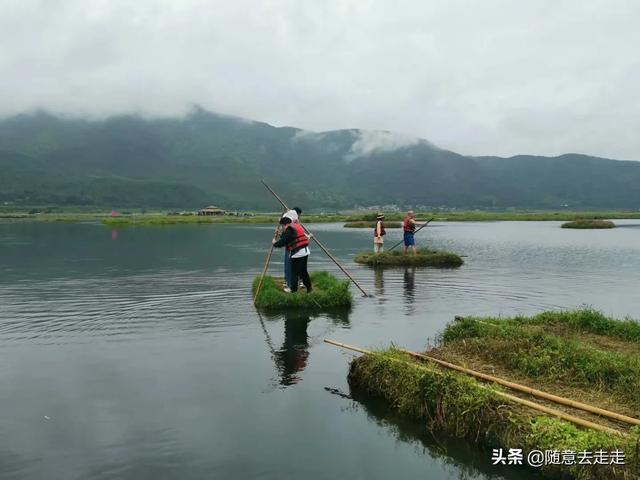 云南观鸟会:高黎贡山的最佳观鸟路线是怎样的？