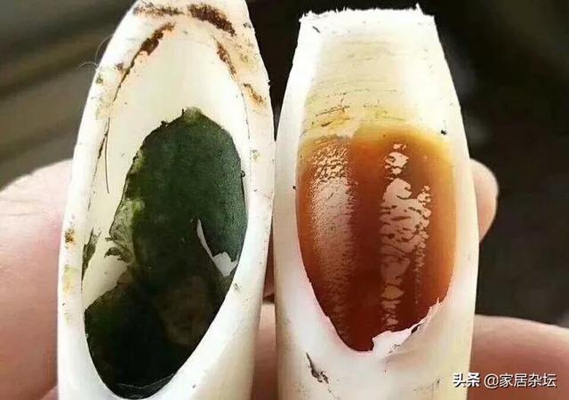 水管内长水藻如何清除:怎么巧妙清除水管里面的青苔？