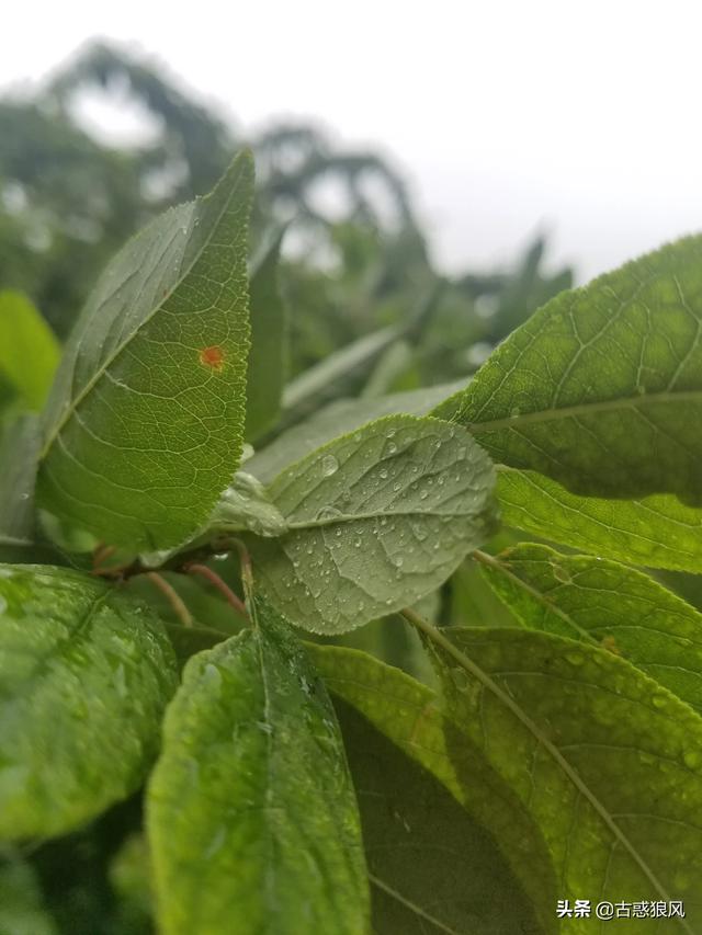 准备买一辆15万落地的家用车有什么好的推荐？