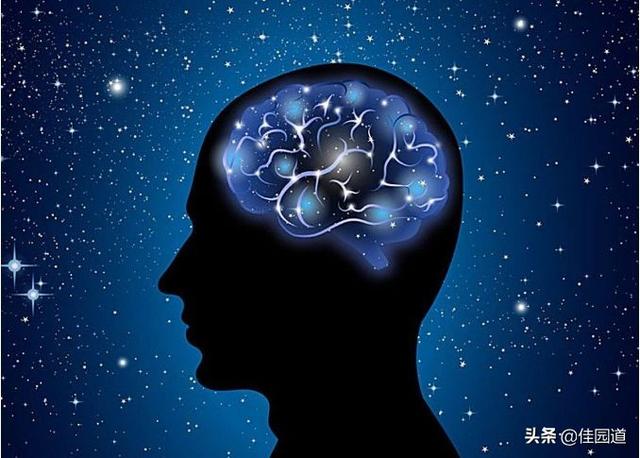 青海羊癫疯怎么治疗:羊的羊癫疯怎么治疗 癫痫是羊癫疯吗？什么原因产生的？
