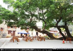 花都灵异事件6:你们小时候有没有听过特别恐怖的事情？