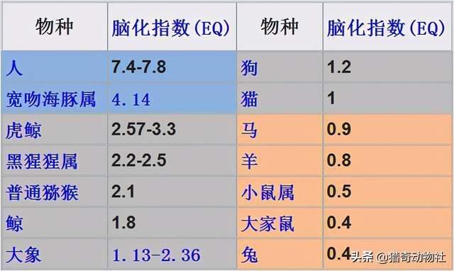 小食人鱼幼崽:能自理的动物幼崽千千万，人类最聪明，为何幼崽这么难养？