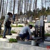 台湾大师带人走阴曹地府，清明节前祭坟有什么讲究和忌讳