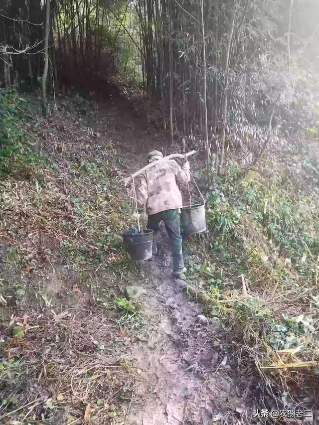 黄宗泽遛鸟:农村六十岁左右的人，大都还在干活挣钱，对此你怎么看