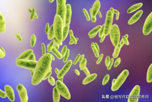 布鲁氏杆菌:喝羊奶粉可能会感染布鲁氏菌病吗？