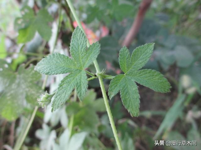 天庭微信<a href=https://maguai.com/list/269-0-0.html target=_blank class=infotextkey>红包群</a>风起云涌:新屋第一年要“守屋”是什么样的习俗什么寓意