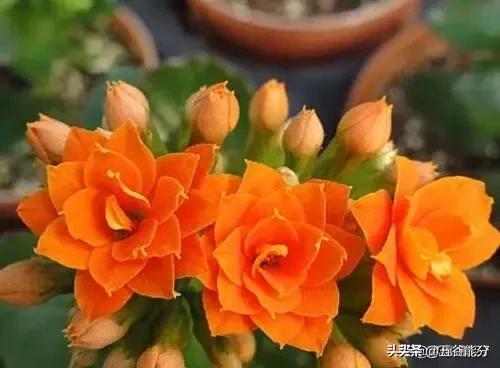 预防老人摔倒,有什么好办法？