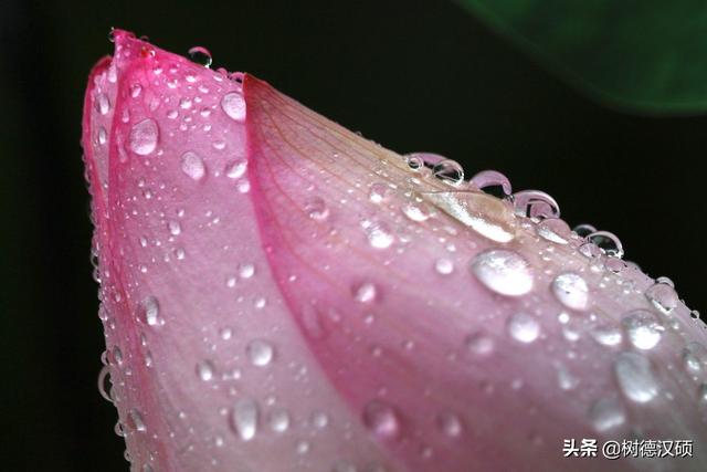 大家有什么珍藏的歇后语吗？