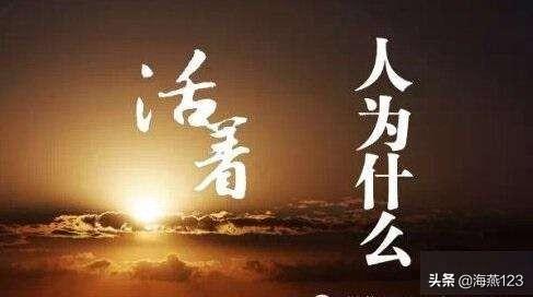 人生不如意十之八九:人生不如意十之八九，那么努为活着的意义是什么