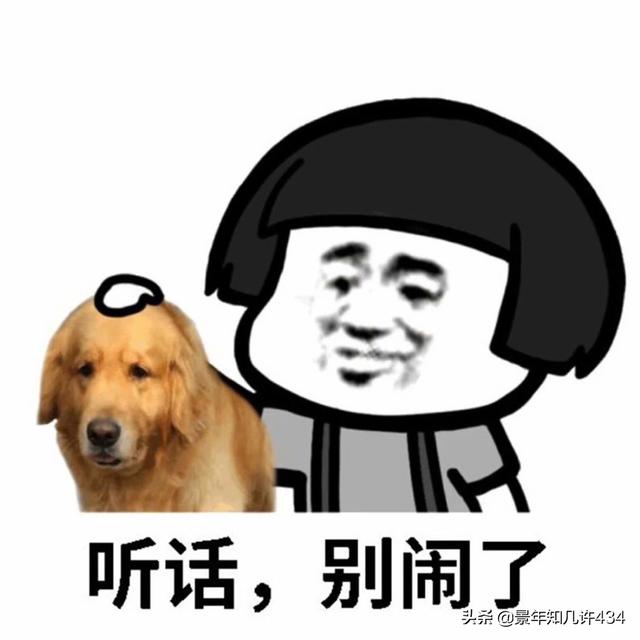 可爱萌宠图片:图片可爱萌萌哒头像 大家有没有什么萌宠表情包？越沙雕越可爱越好？