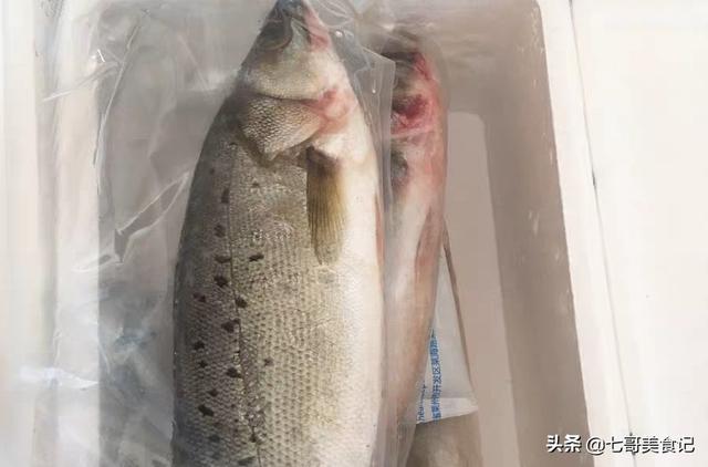 为什么有人说不要去做出海打渔船员？