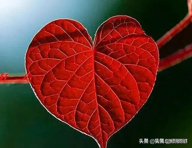 朋友圈表白技巧:母亲节将至，你觉得朋友圈表白能表达真心吗？