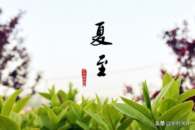 入伏从哪天算起2020年:今日夏至，俗语“夏至三庚入伏”，啥意思？今年啥时入伏呢？
