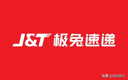 中国野兔:中国野兔为什么不泛滥 小时候坐家门口都可以看到野兔，为什么现在回农村看不到野兔了？