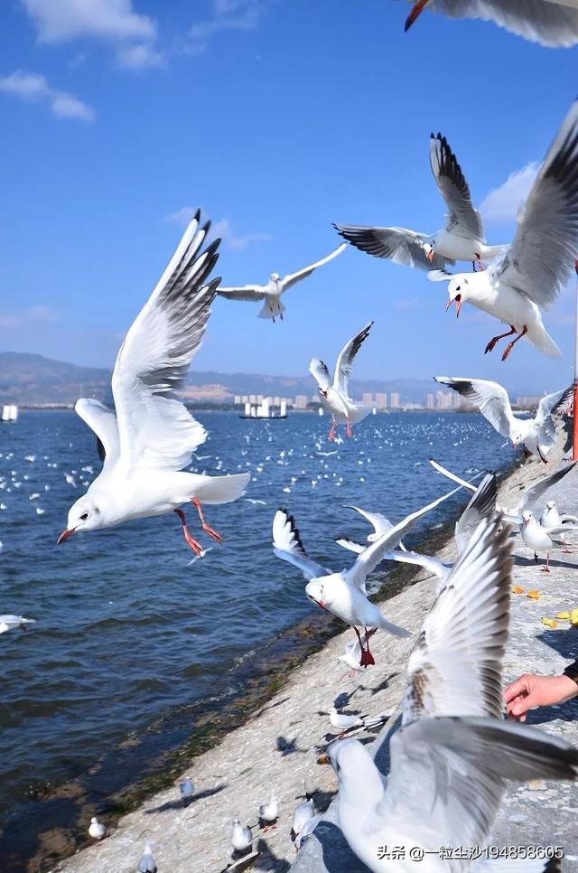 昆明旅游去哪里好？