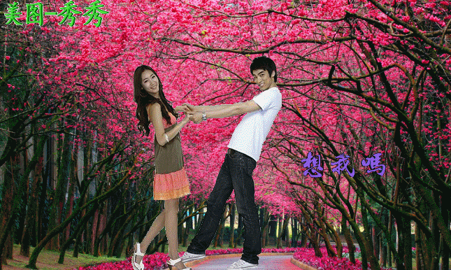 夫妻俩属相不合怎么办,结了婚发现三观不合怎么办？