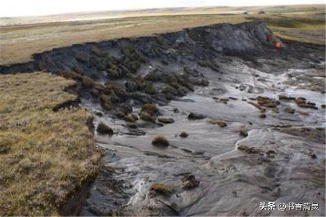 冰川里发现龙的干尸，北极地区不断发现古生物遗骸！这是不是什么灾难的预兆