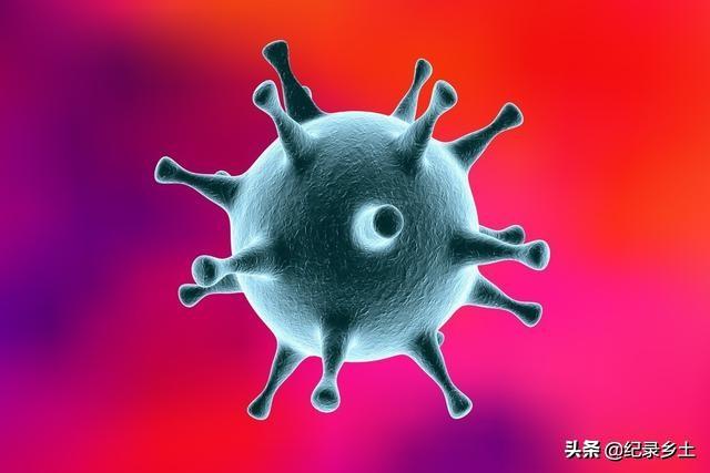 平顶山沙皮犬图片:面对国外品种的狗入侵，中国土狗未来将走向何方？