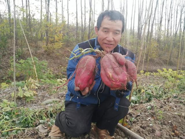 工薪族创业，如今工薪族辞职创业靠努力可以白手起家吗