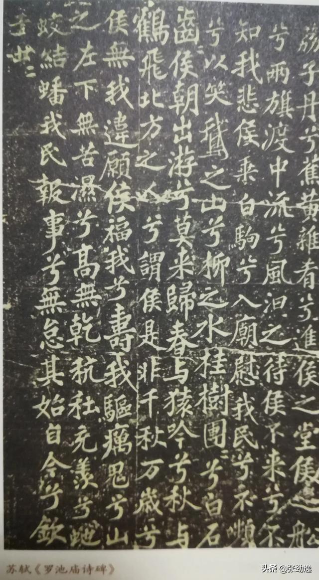 北宋四家:在宋代书法四大家中，苏轼的书法并非最好，为何却居四大家之首？