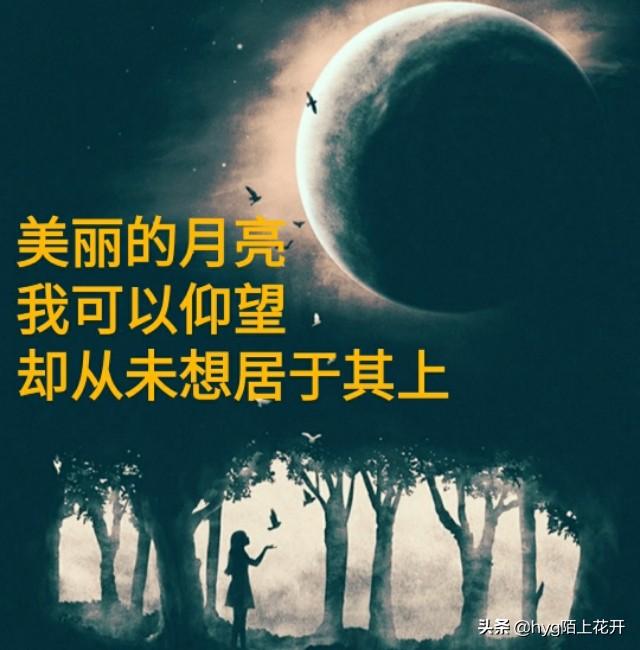 如果终身美丽要换来永远寂寞，你愿意当嫦娥么？
