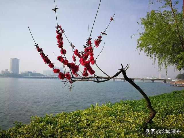 南阳是块风水宝地,河南南阳这个城市怎么样？