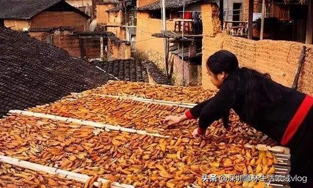 红薯干适合减肥吗，为什么农村做红薯干喜欢放一些橘子皮