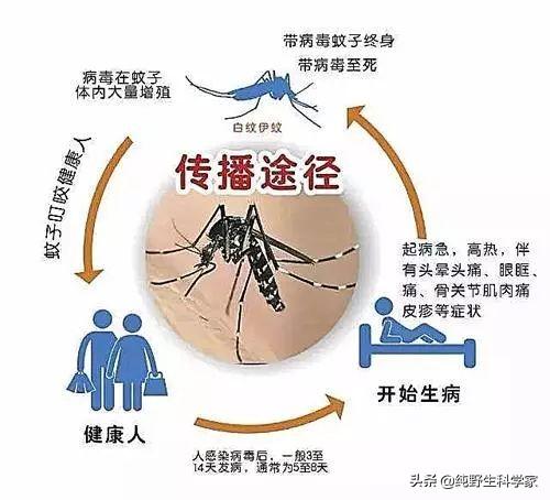 a仡宠星球宠物专家:科普一下，病毒如何从动物中传染给人类？