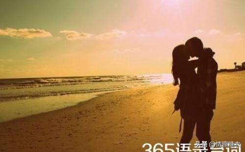 剧荒,有什么经典的推荐,没有爱情元素的国产剧？