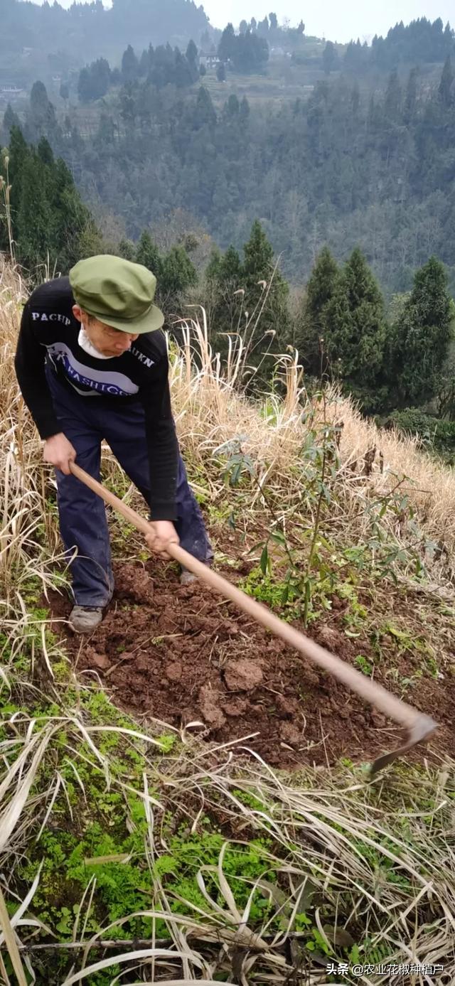 hata王子:学习成绩不太好，迷上街舞会有前途吗？