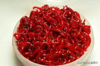 钓鱼红虫怎么养吗:钓鱼用的红线虫和红虫怎么养想自己在家养点？