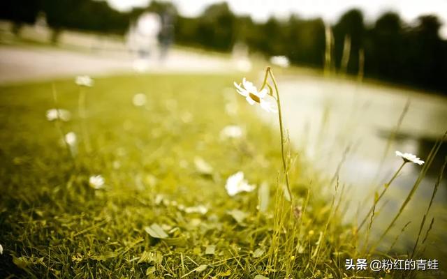 最反感的朋友圈人设:老师最讨厌家长发什么类型的朋友圈?