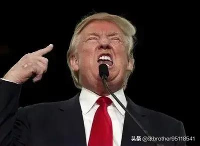 特朗普这样政治素人能当上美国总统,是社会进步还是退步？