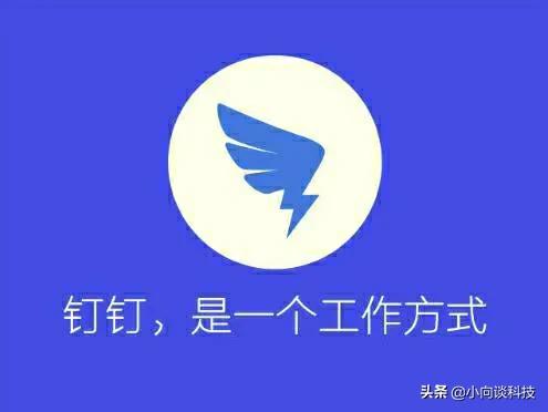 企业微信的成功案例:公司同时使用了企业微信、钉钉、QQ和微信是一种什么体验