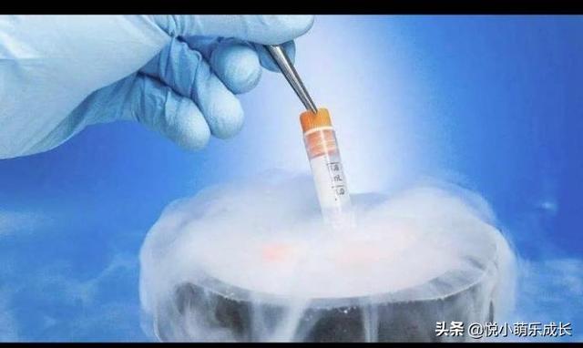 林志玲为什么冷冻卵子:现在冷冻卵子的技术成熟吗？