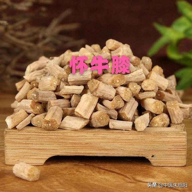 牛膝骨的意思是什么:果脯鸭片和风味牛膝骨的专业配方及做法是什么？