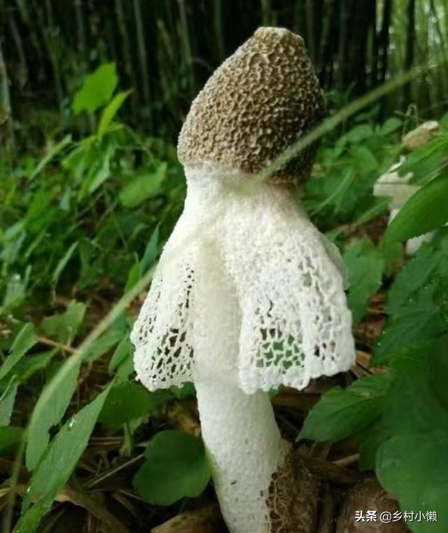 什么食品可以放10年以上还可以吃？插图53