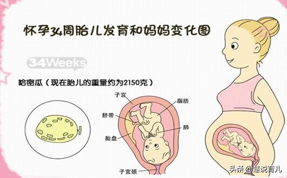 头条问答 怀孕34周生下小孩2斤多 正常吗 该怎么办 21个回答